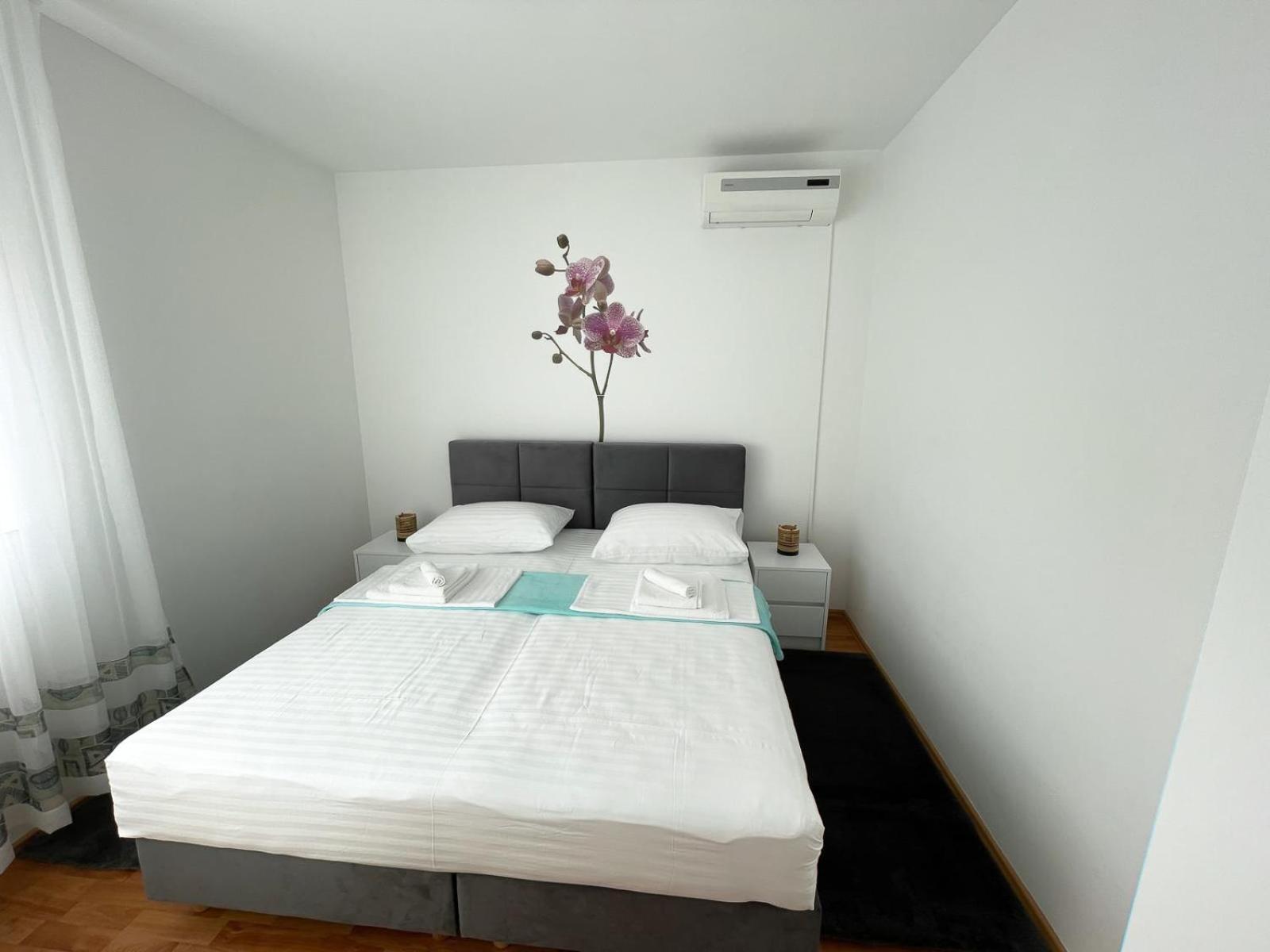 Apartmani Tatjana Novalja Εξωτερικό φωτογραφία